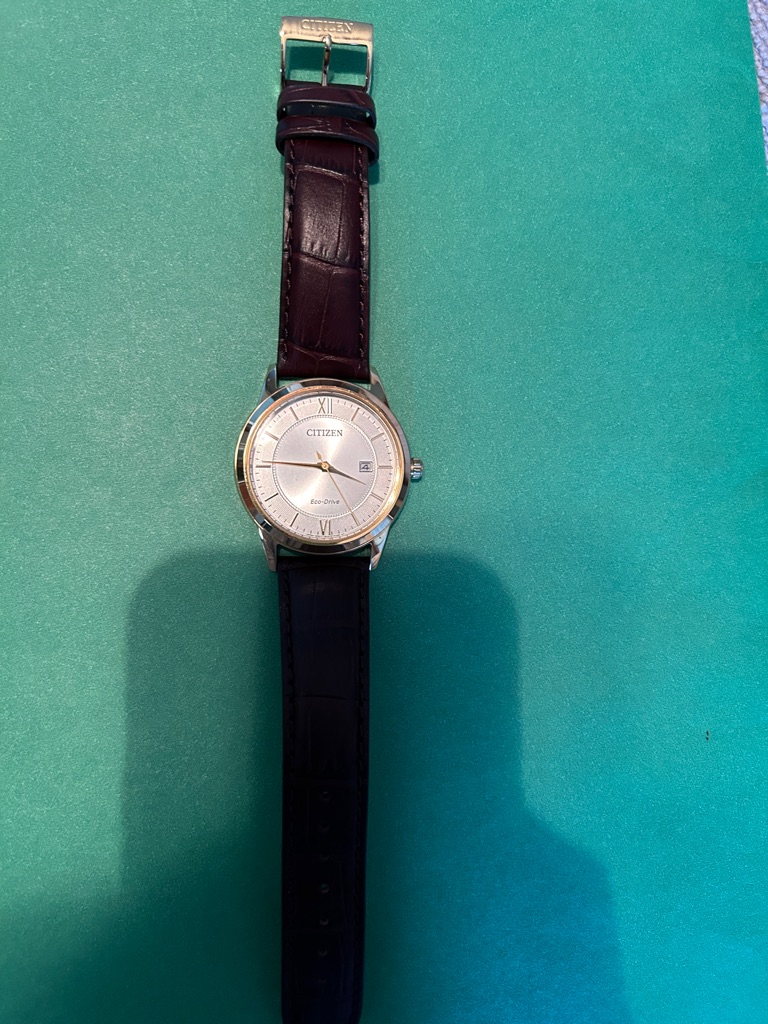 Citizen Silver Dial Watch With Dark Brown Leather Strap Eco Drive Mens